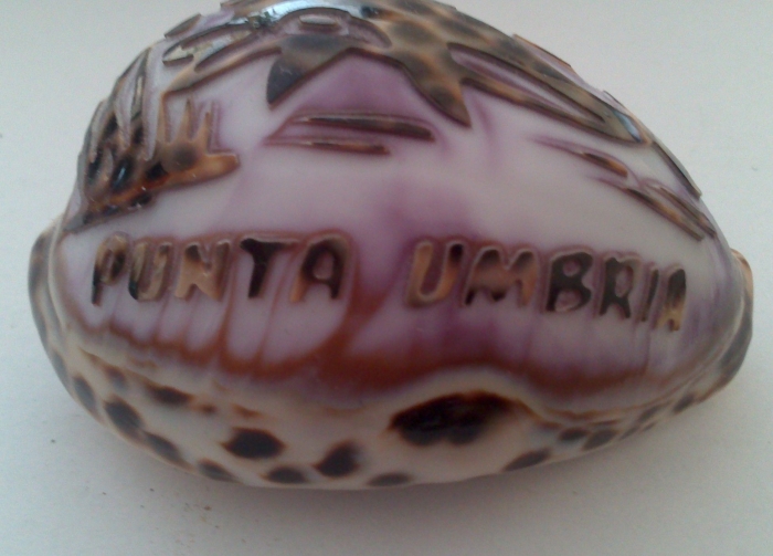 Morská mušľa Punta Umbria
