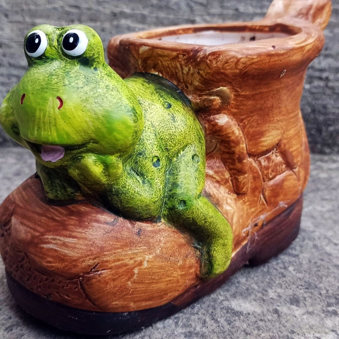 Žaba na topánke