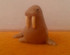  Mrož
