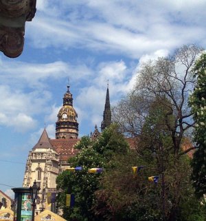 Dom sv.Alžbety