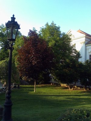  Mestský park na Hlavnej,Košice