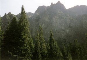 Vysoké Tatry