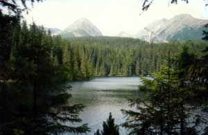Štrbské pleso