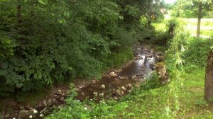 Lesná riečka
