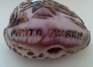 Morská mušľa Punta Umbria