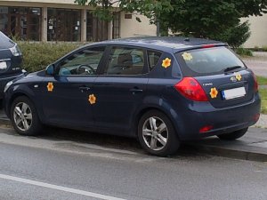   Kvietkované auto